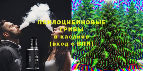 мескалин Елабуга