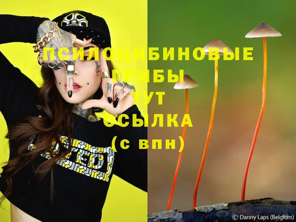 мескалин Елабуга