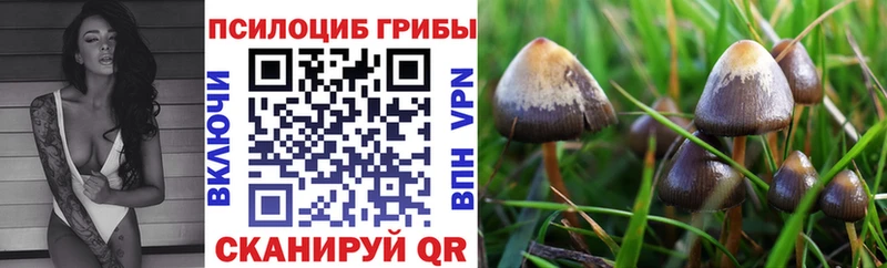 Купить закладки  Шумиха  Галлюциногенные грибы ЛСД 