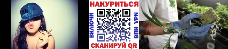 Бошки Шишки MAZAR  Купить  Шумиха 